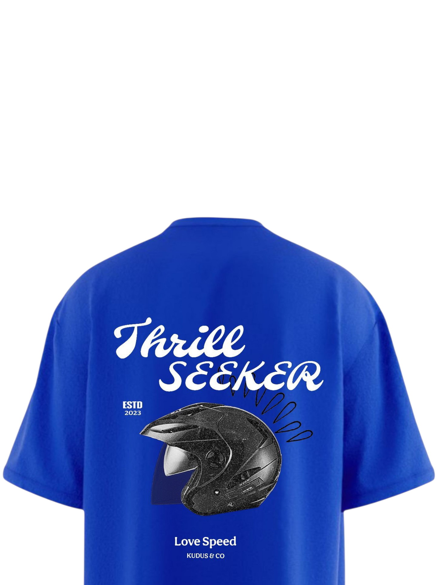 THRILL SEEKER Heavy Weight Oversized T-shirt