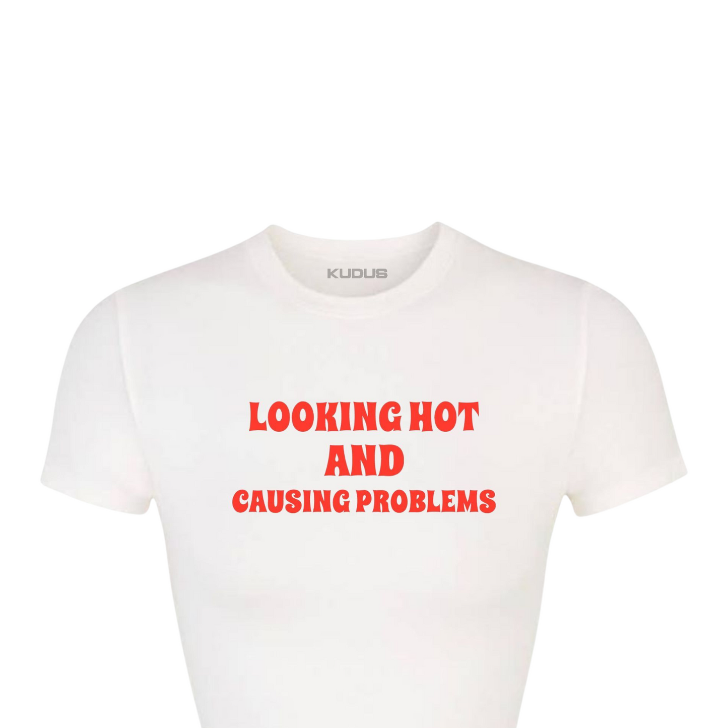 Looking Hot And Causing Problems Women Tee
