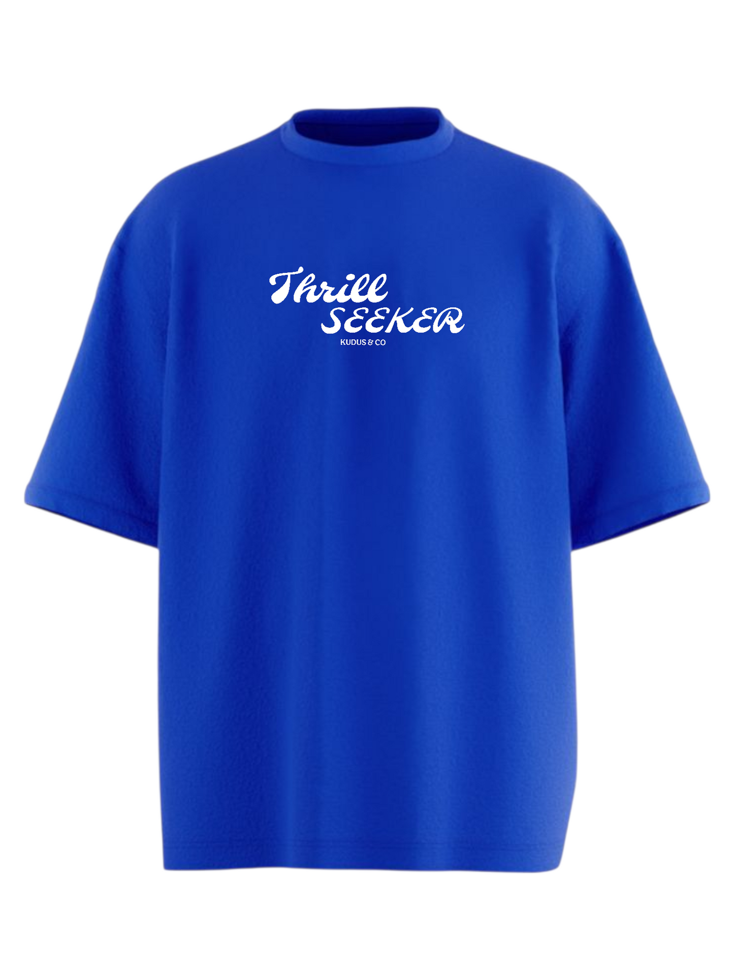 THRILL SEEKER Heavy Weight Oversized T-shirt