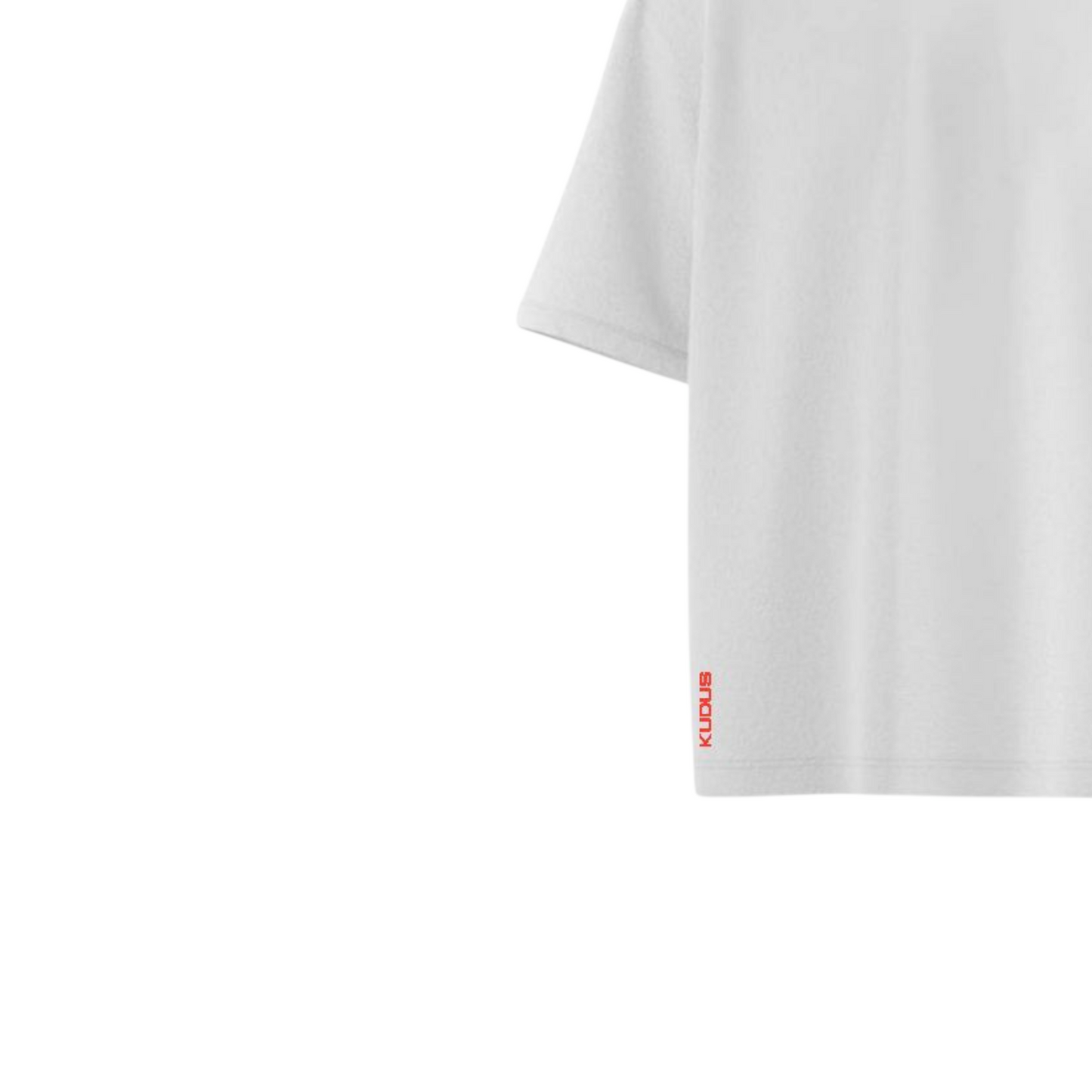 Everyday Solid Ultrasoft Oversized T-shirt