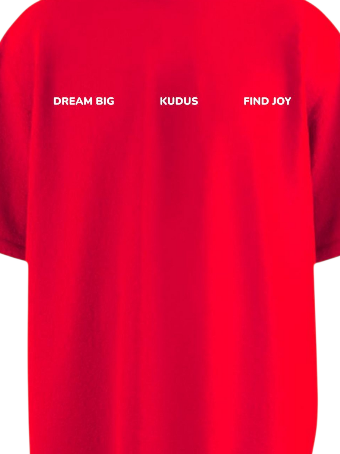 DREAM BIG FIND JOY Heavy Weight Oversized T-shirt