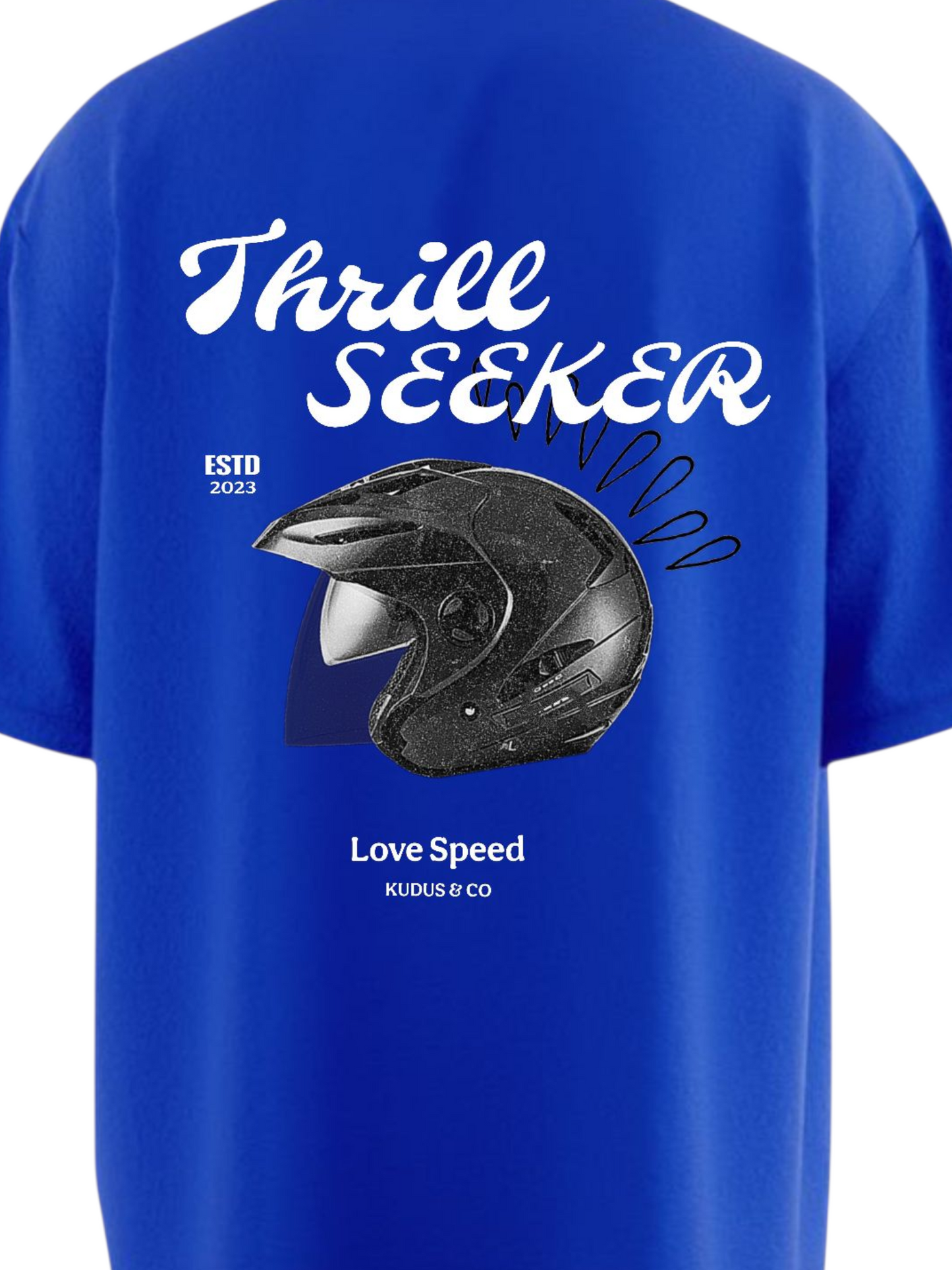 THRILL SEEKER Heavy Weight Oversized T-shirt