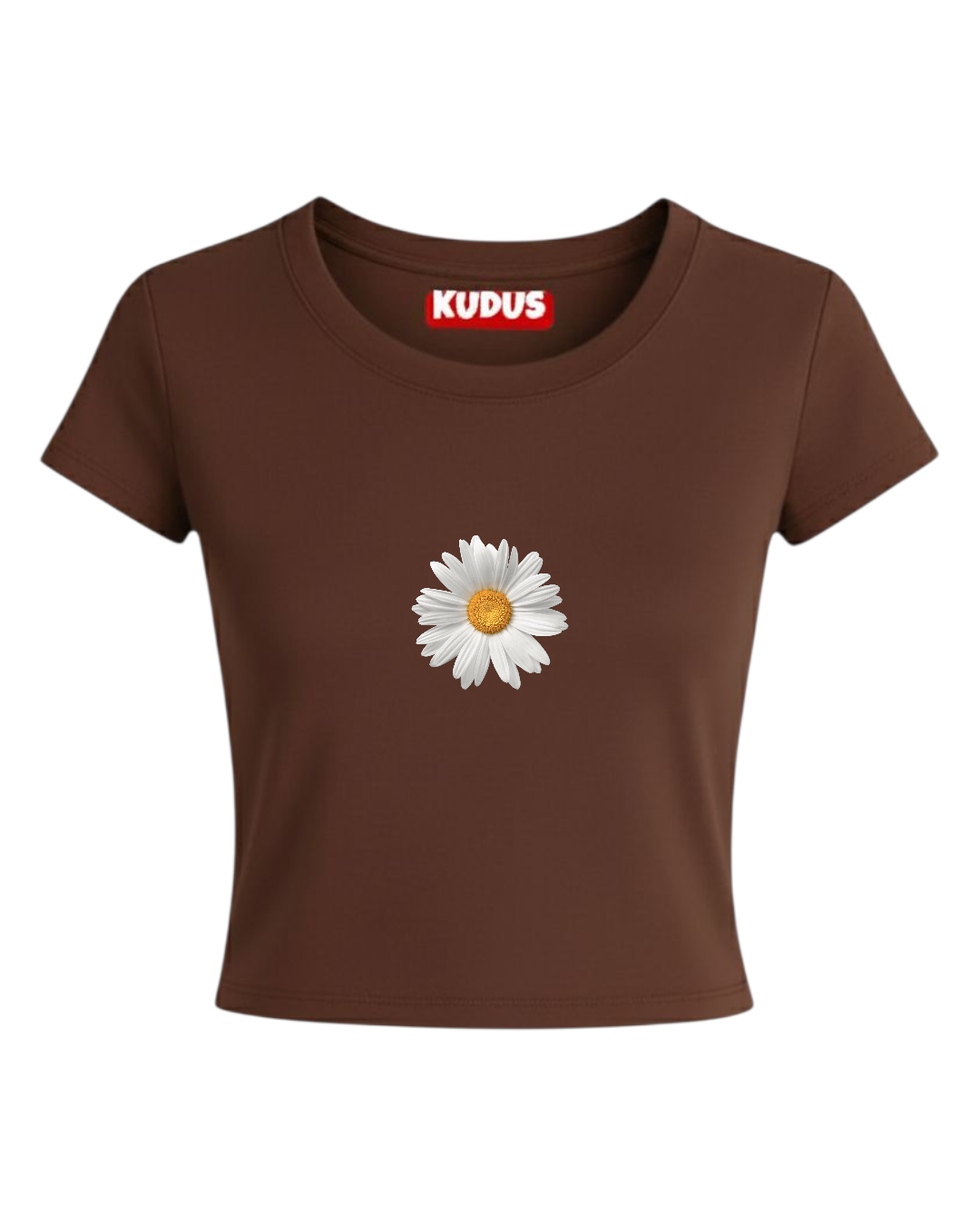 Aesthetic Chocolate Baby Crop Top For Women