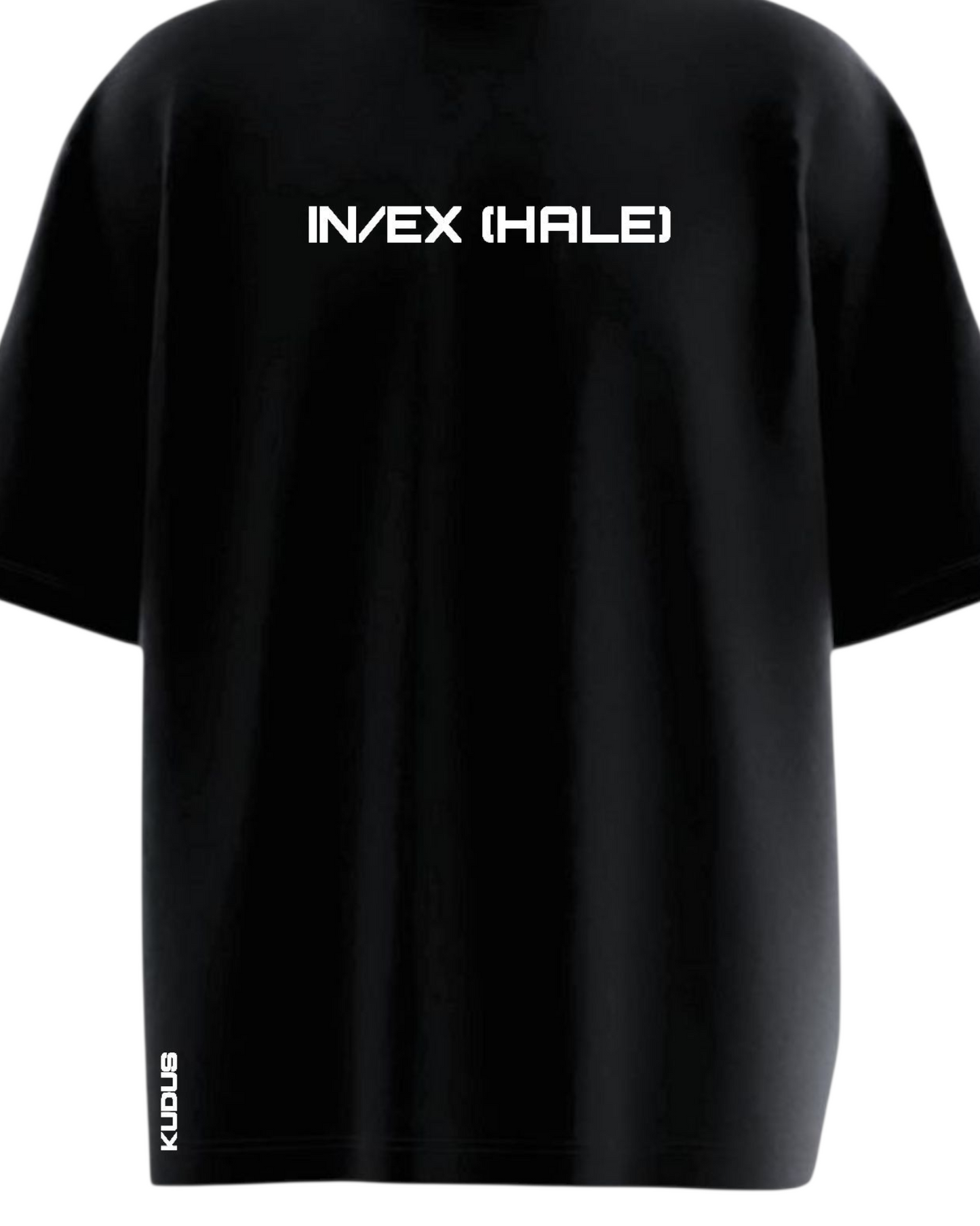 IN/EX [HALE] Heavy Weight Oversized T-shirt