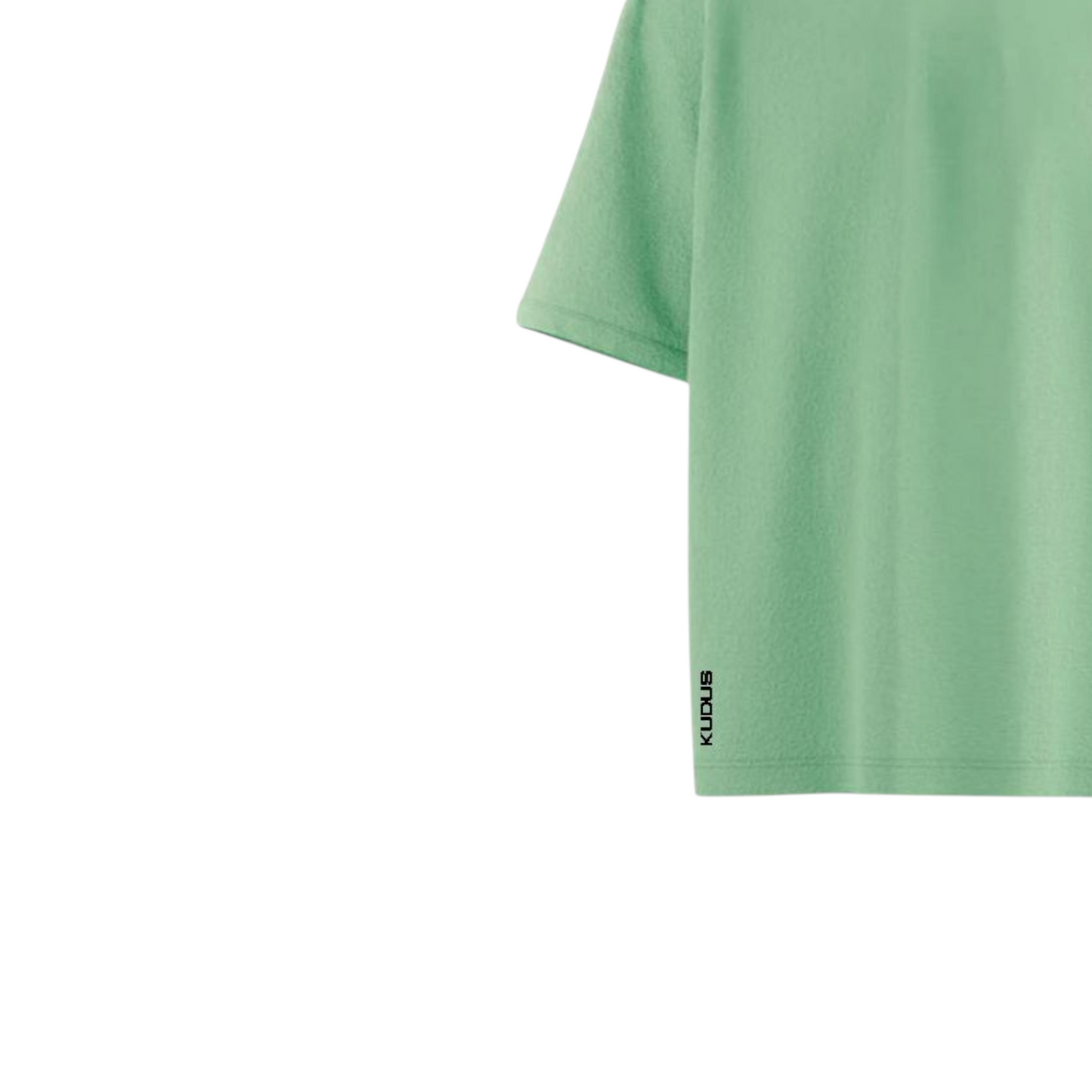 Everyday Sage Green Solid Ultrasoft Oversized T-shirt