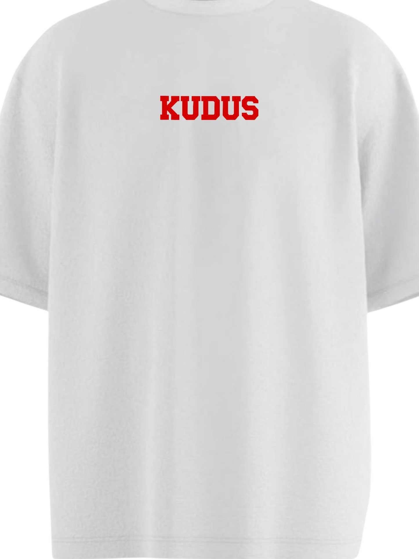 PUSH PAST LIMITS Oversized T-shirt