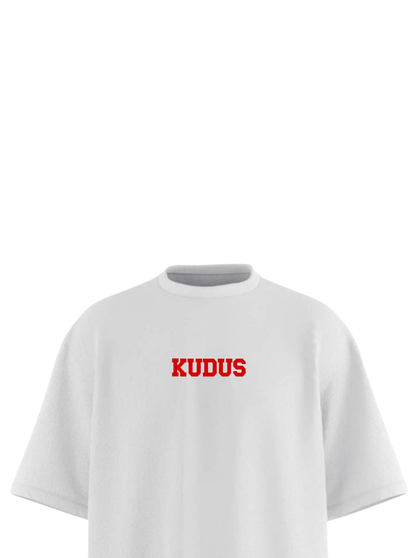 PUSH PAST LIMITS Oversized T-shirt