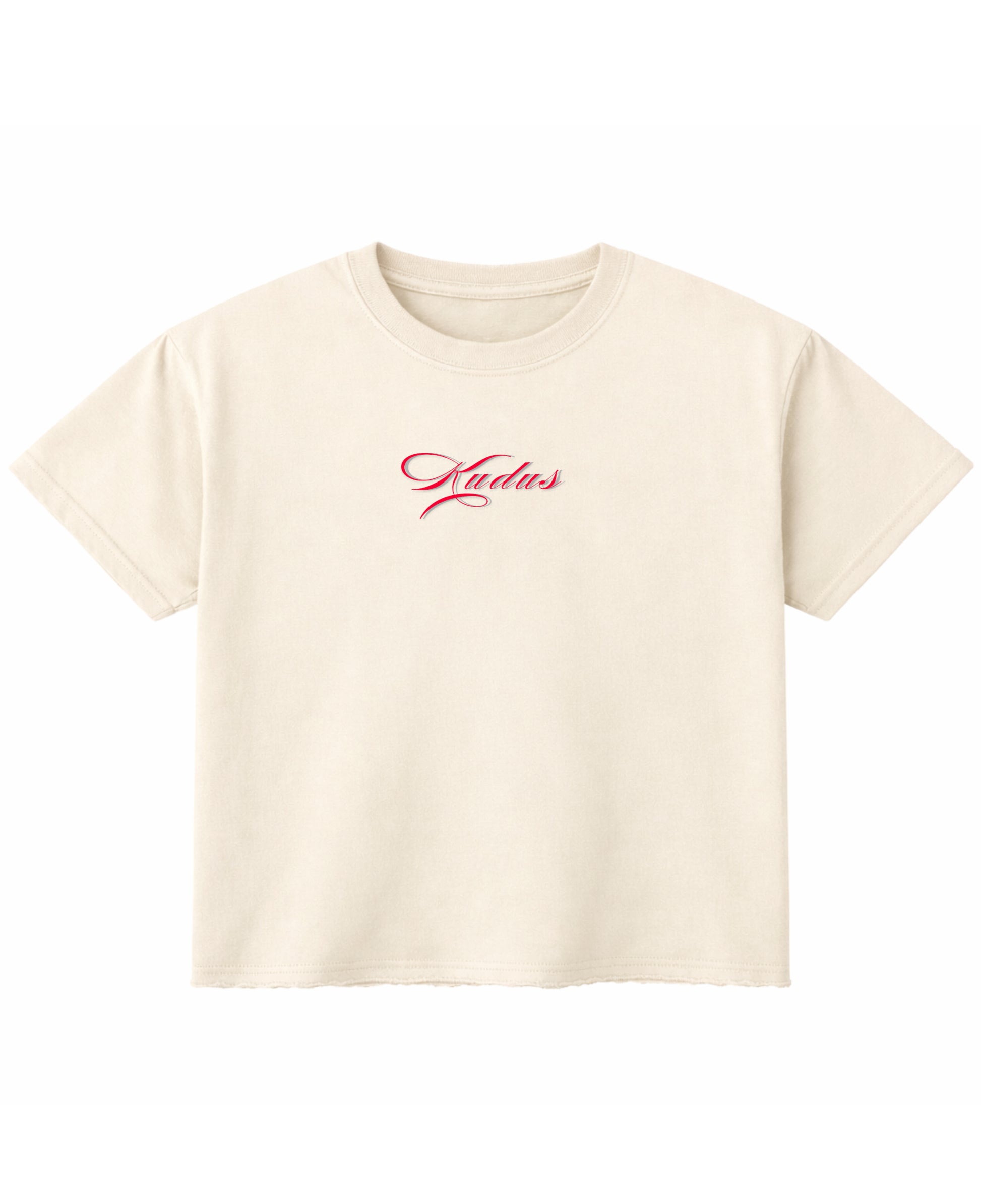 Off White Boxy Fit T-shirt Front Design