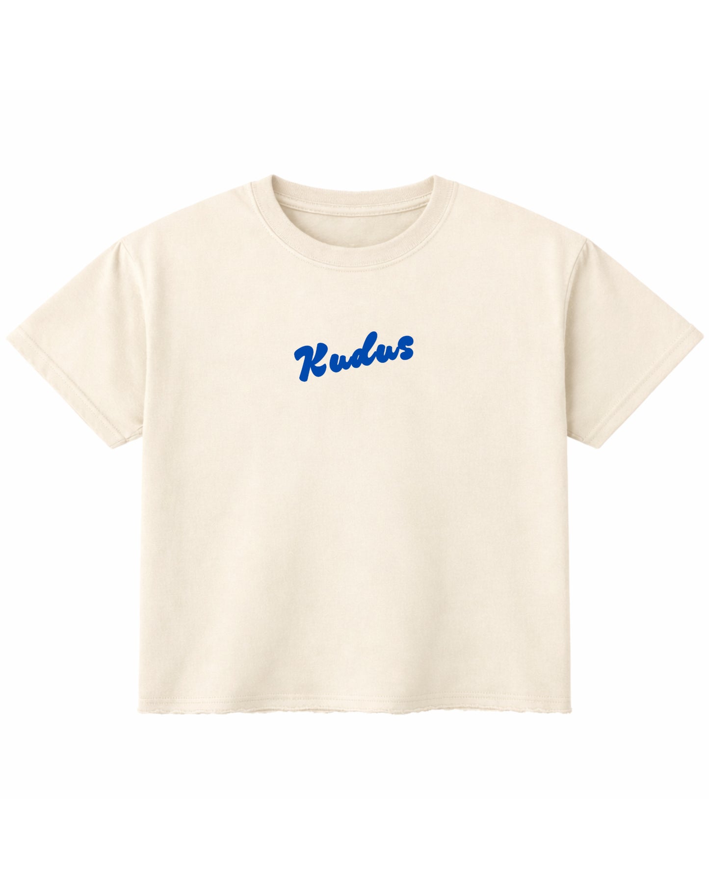 Off White Boxy Fit T-shirt Front Design