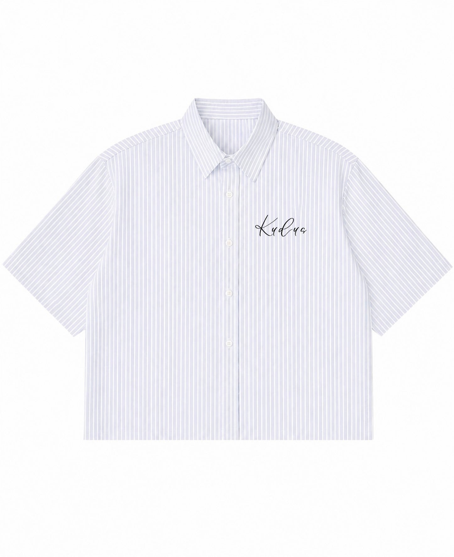 Blue Striped Oxford Boxy Shirt Front Design