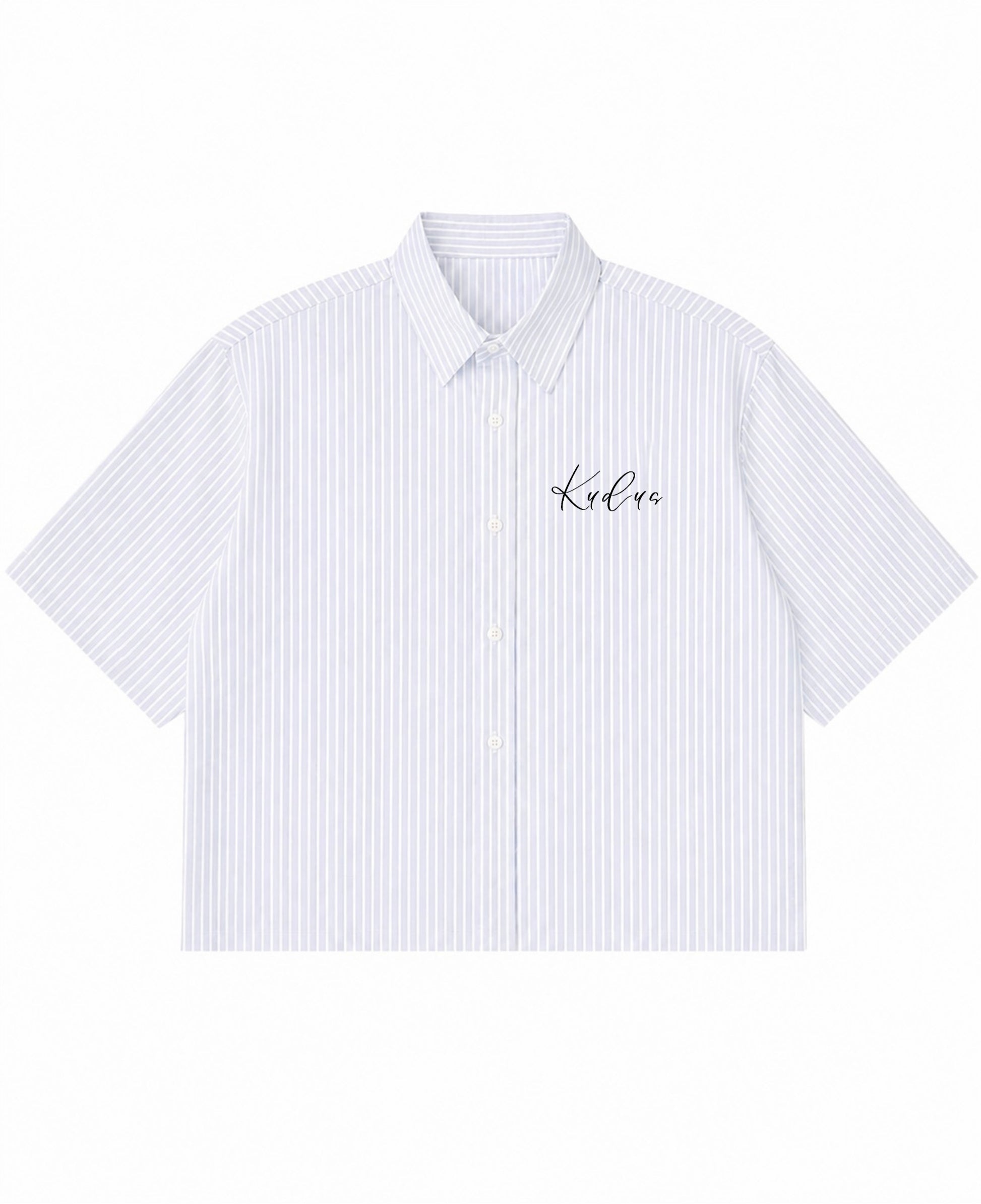 Blue Striped Oxford Boxy Shirt Front Design