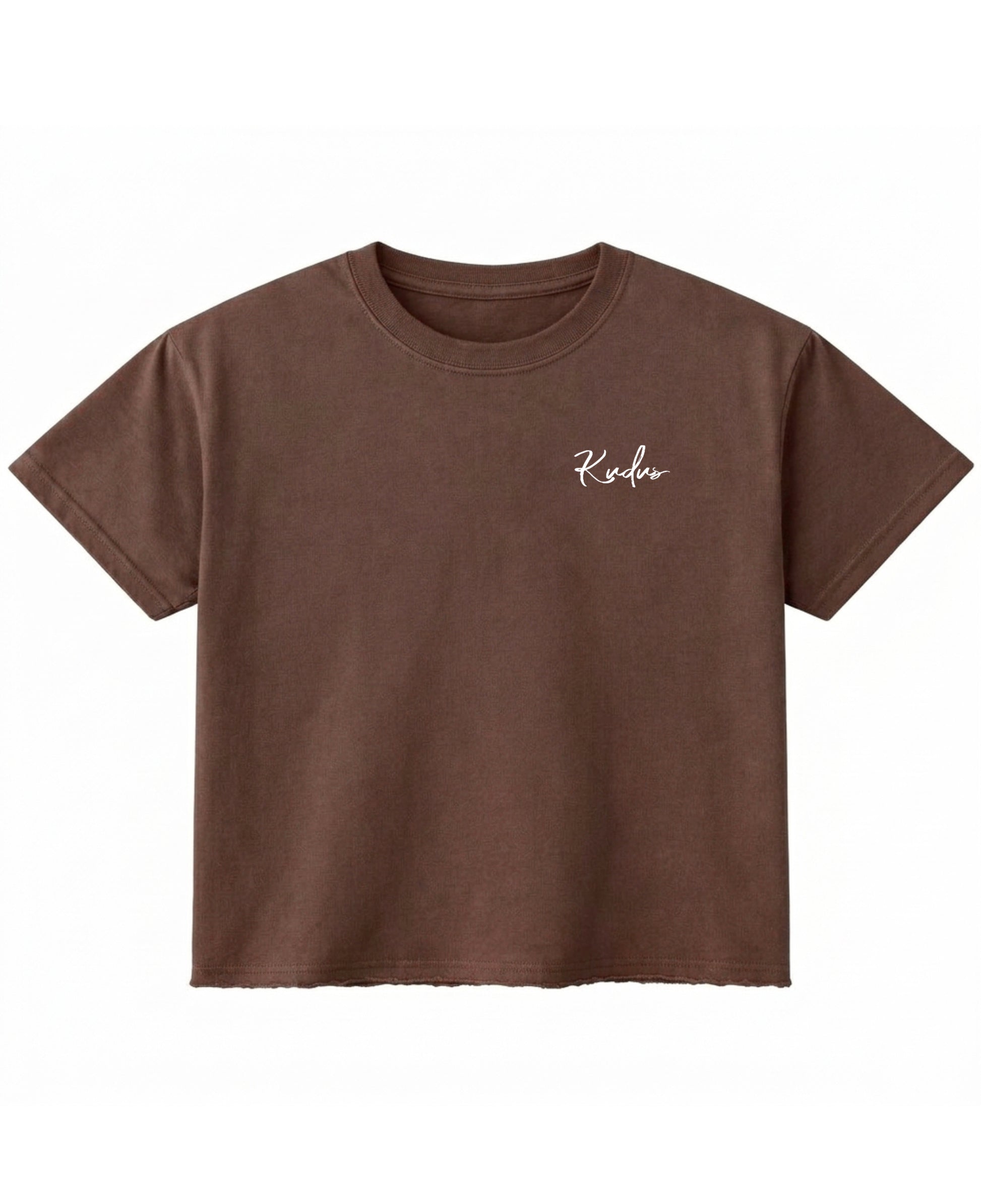Brown Boxy Fit T-shirt Front Design