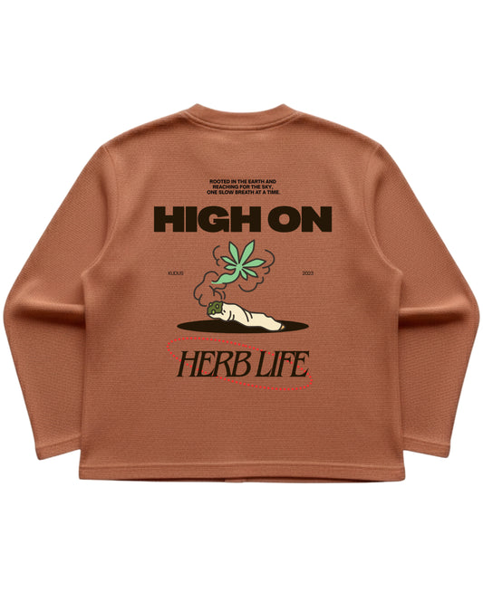 Brown waffle knit oversized full-sleeve Back Design