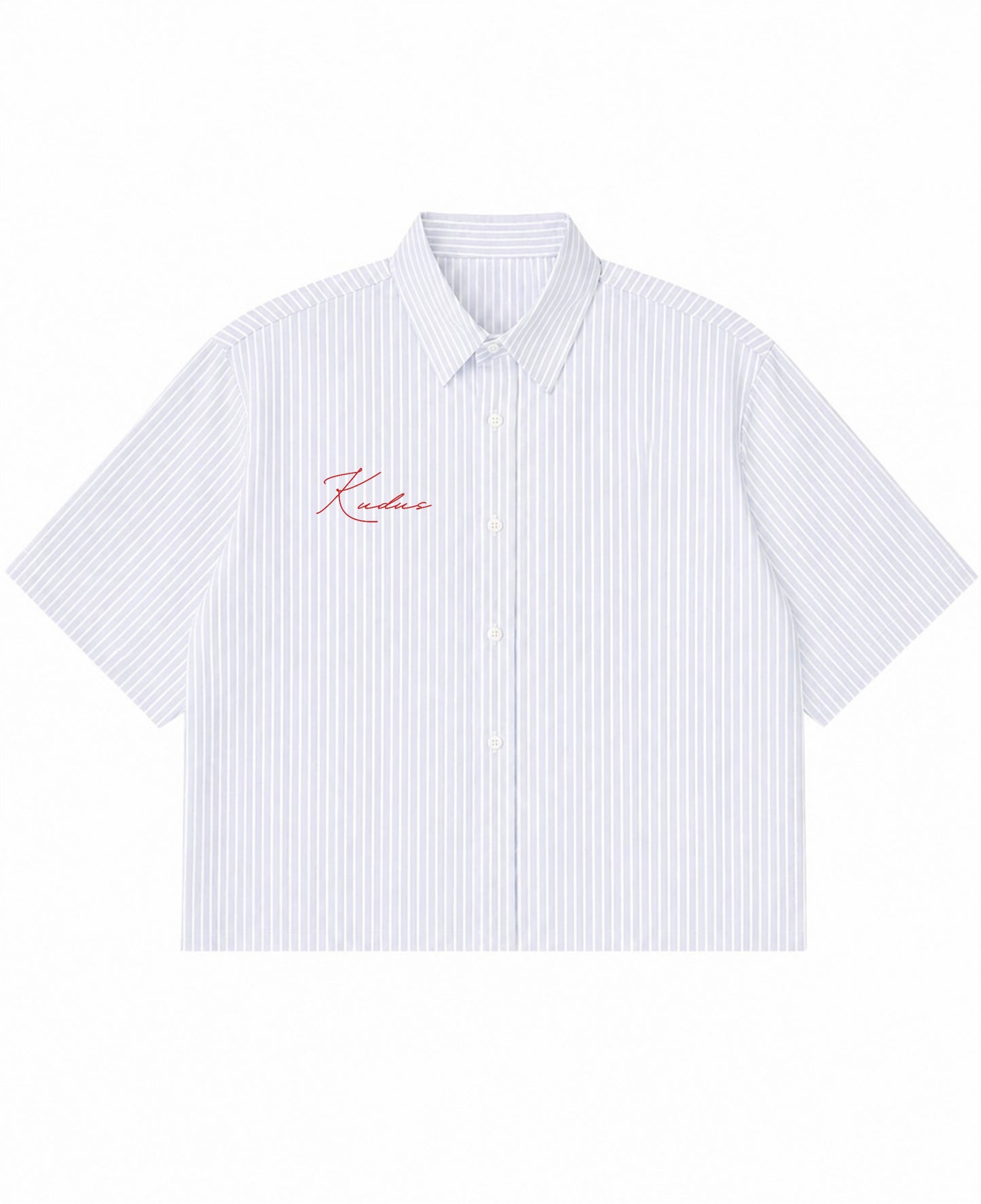 Blue Striped Oxford Boxy Shirt Front Design