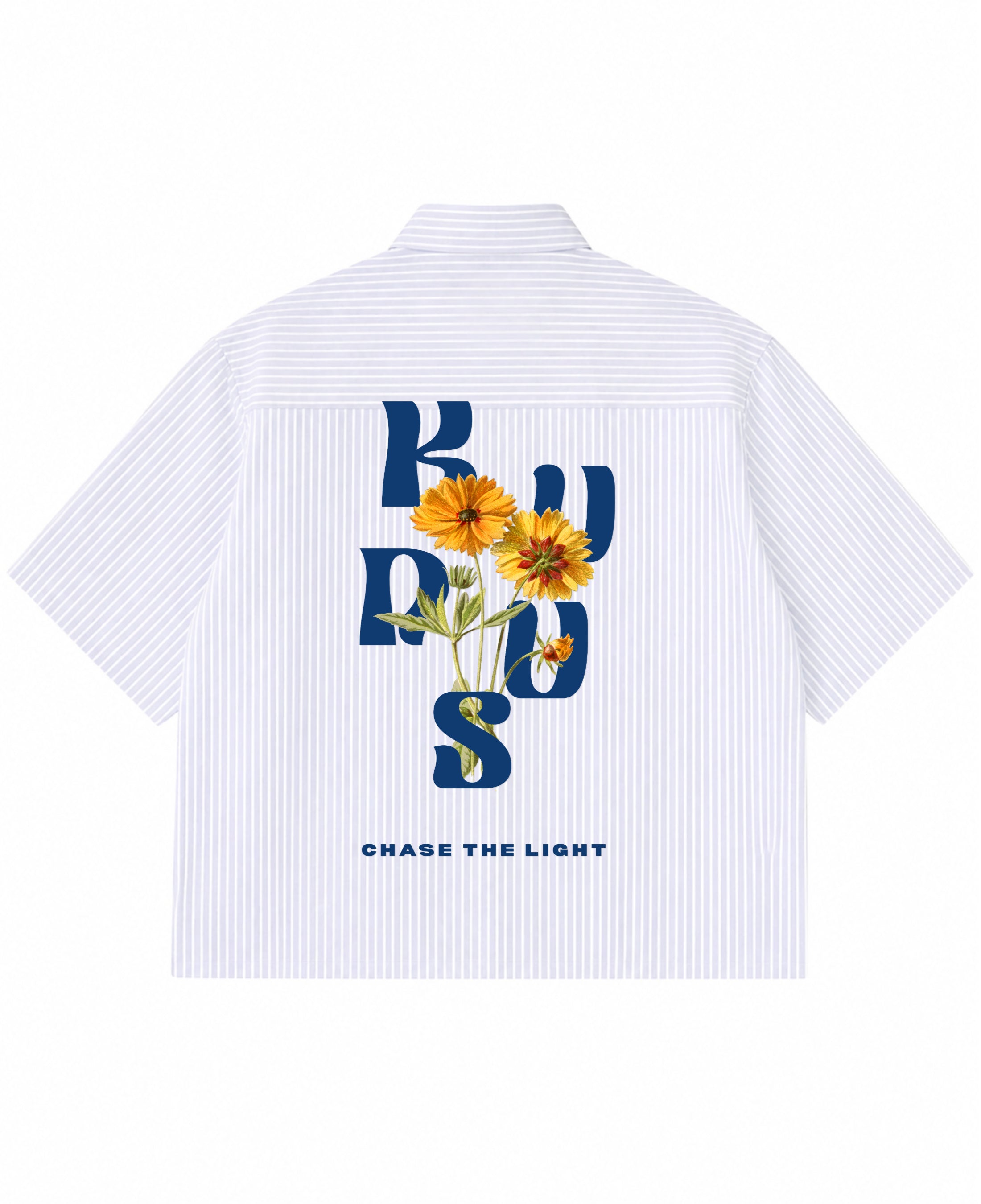 Blue Striped Oxford Boxy Shirt Back Design