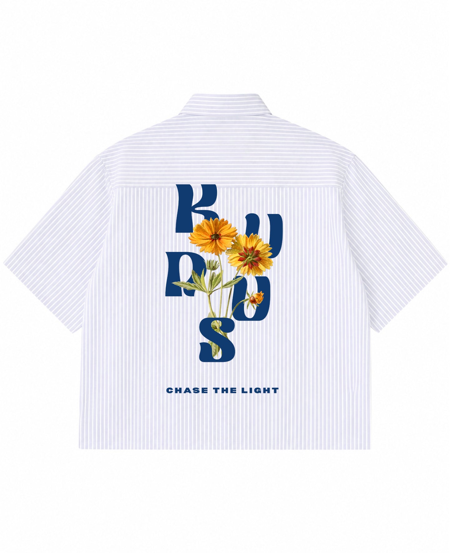 Blue Striped Oxford Boxy Shirt Back Design