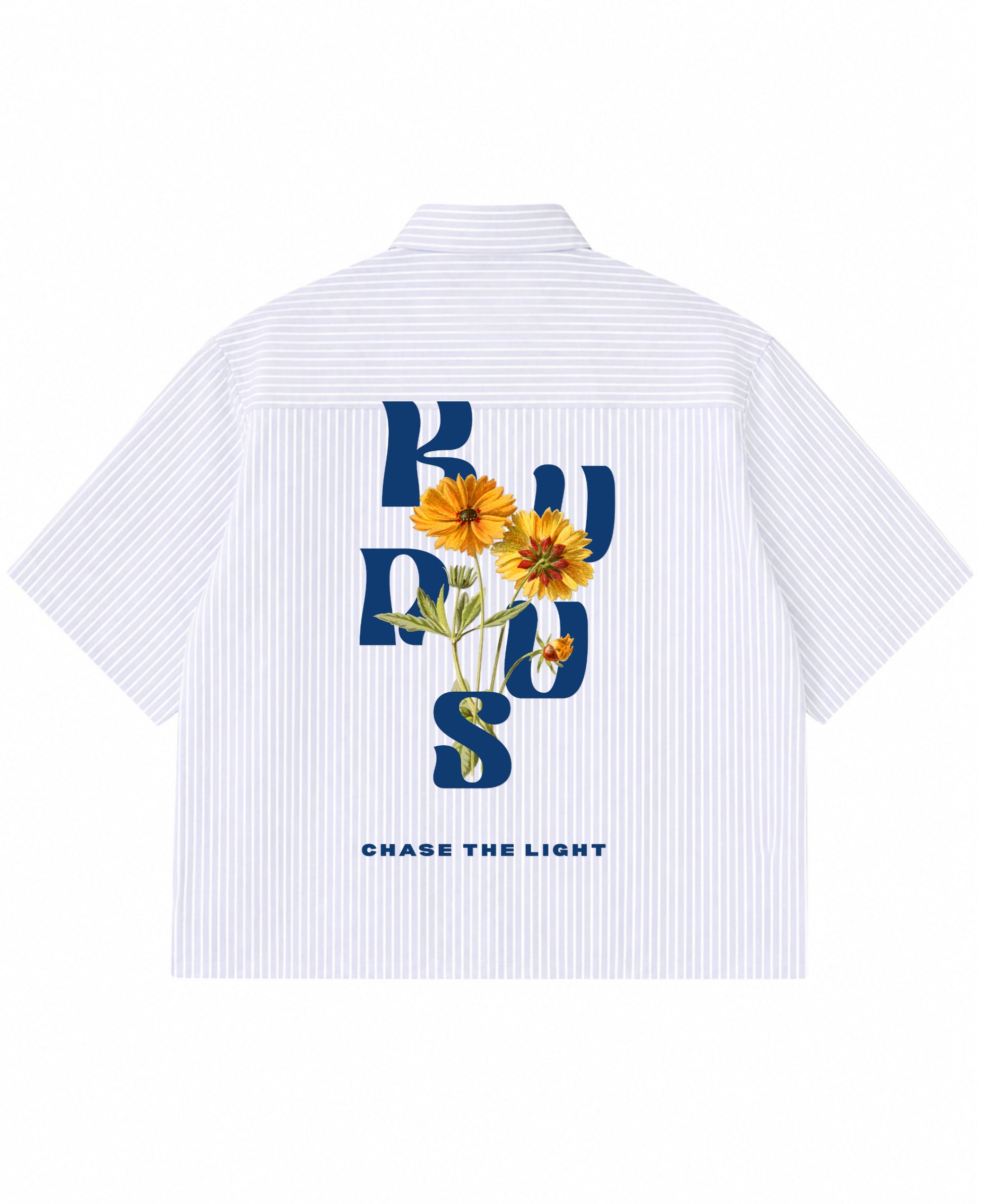 Blue Striped Oxford Boxy Shirt Back Design