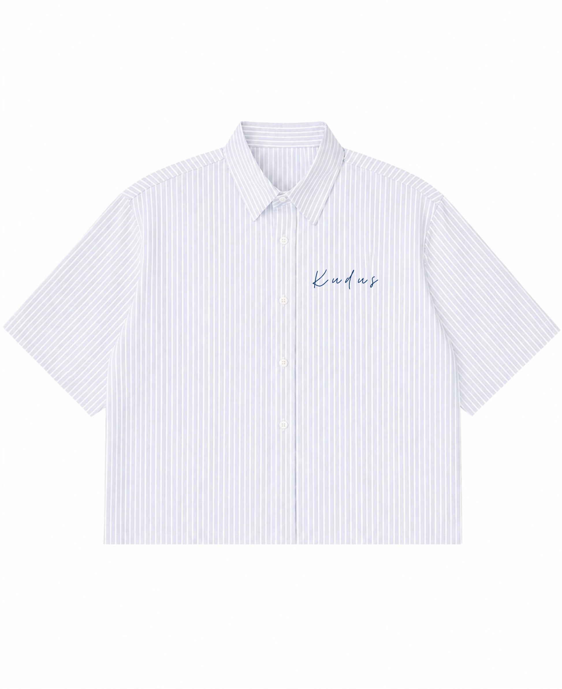 Blue Striped Oxford Boxy Shirt Front Design