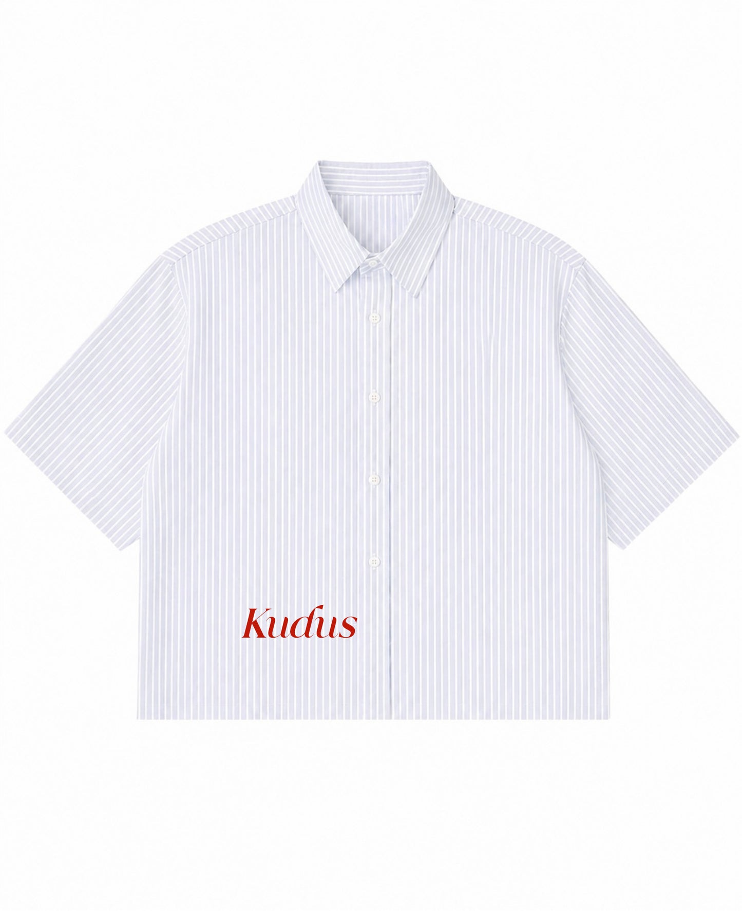 Blue Striped Oxford Boxy Shirt Front Design