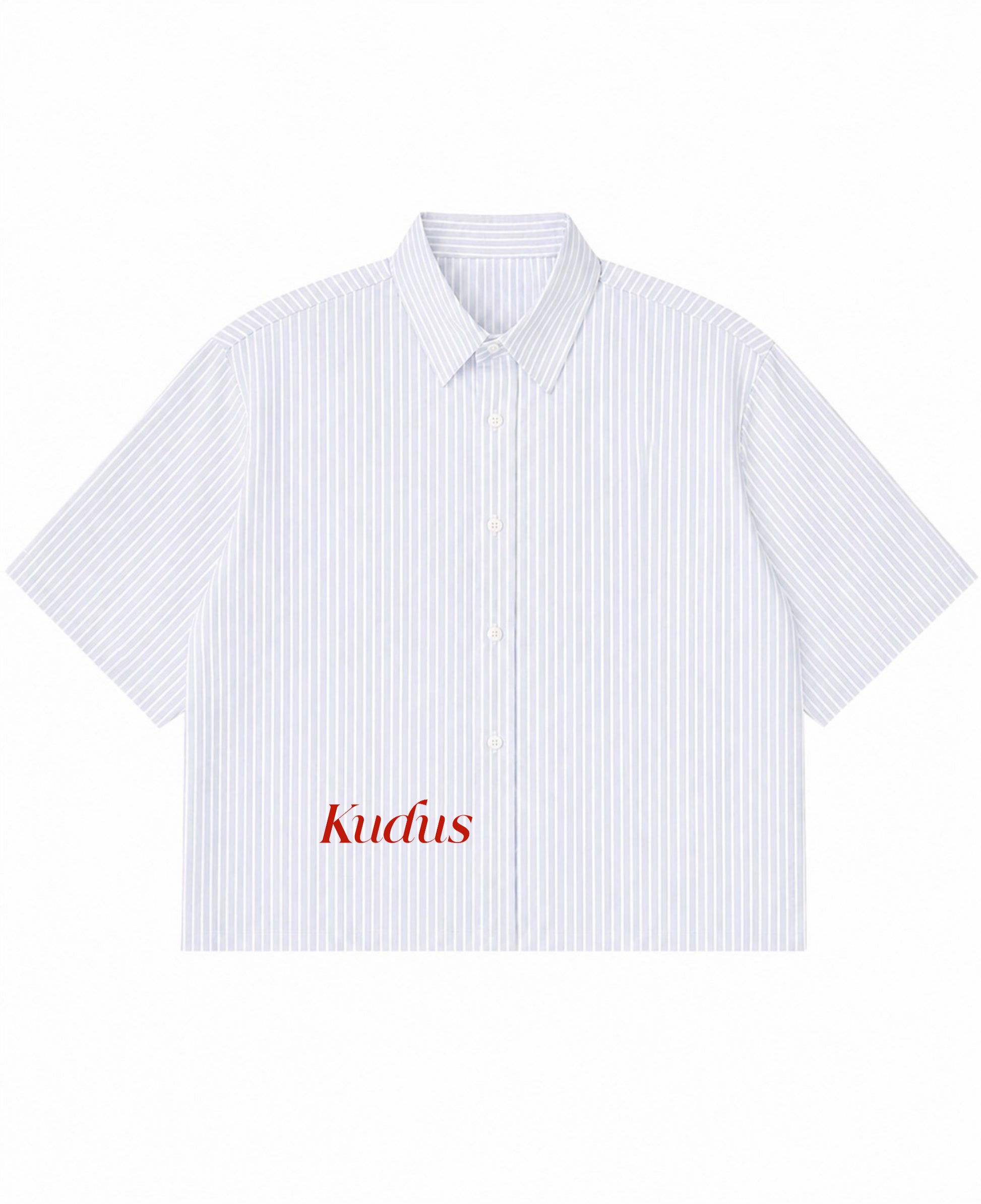 Blue Striped Oxford Boxy Shirt Front Design