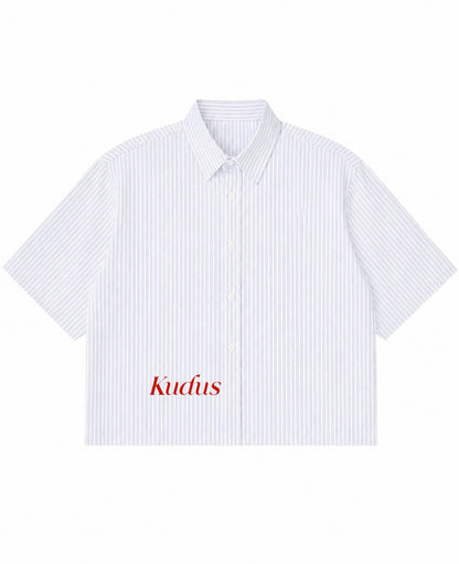 Blue Striped Oxford Boxy Shirt Front Design
