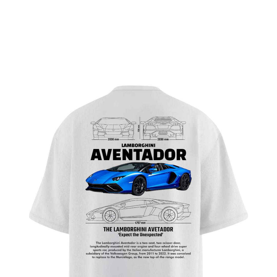 LAMBORGHINI AVENTADOR Heavy Weight Oversized T-shirt – Kudus wear